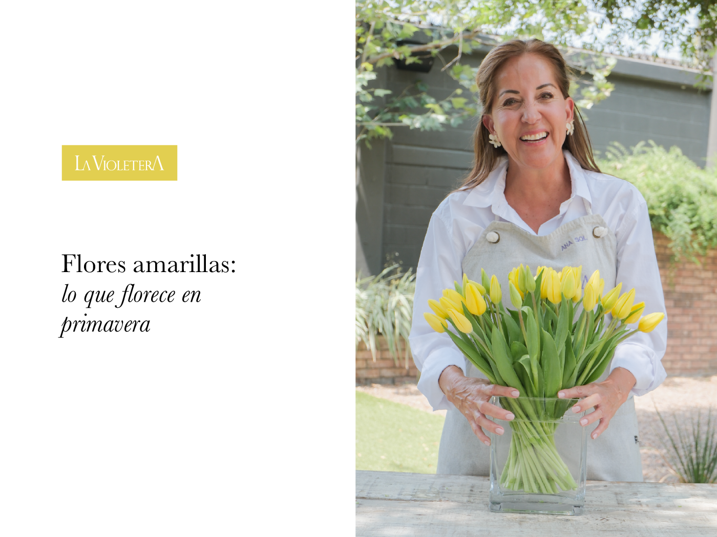 Flores amarillas: lo que florece en primavera