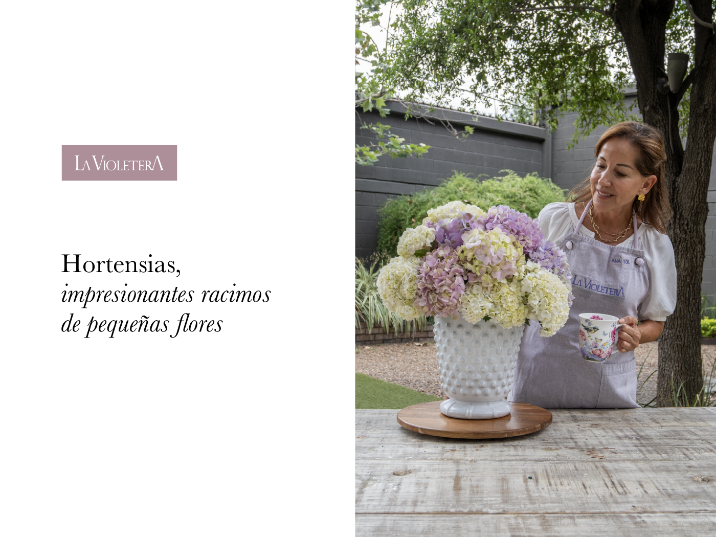 Hortensias: impresionantes racimos de pequeñas flores