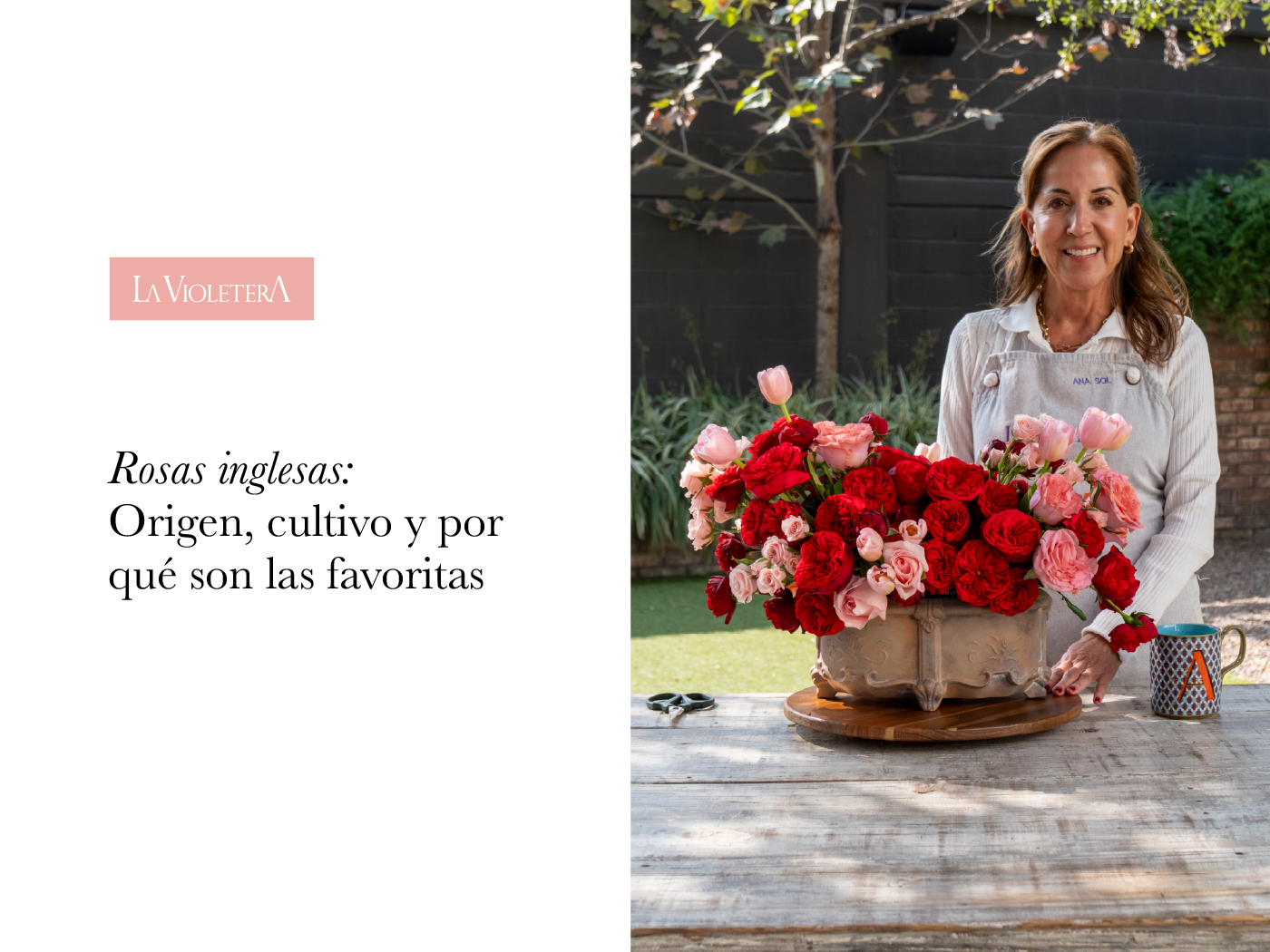 Rosas inglesas: origen, cultivo y por qué son las favoritas del diseño floral