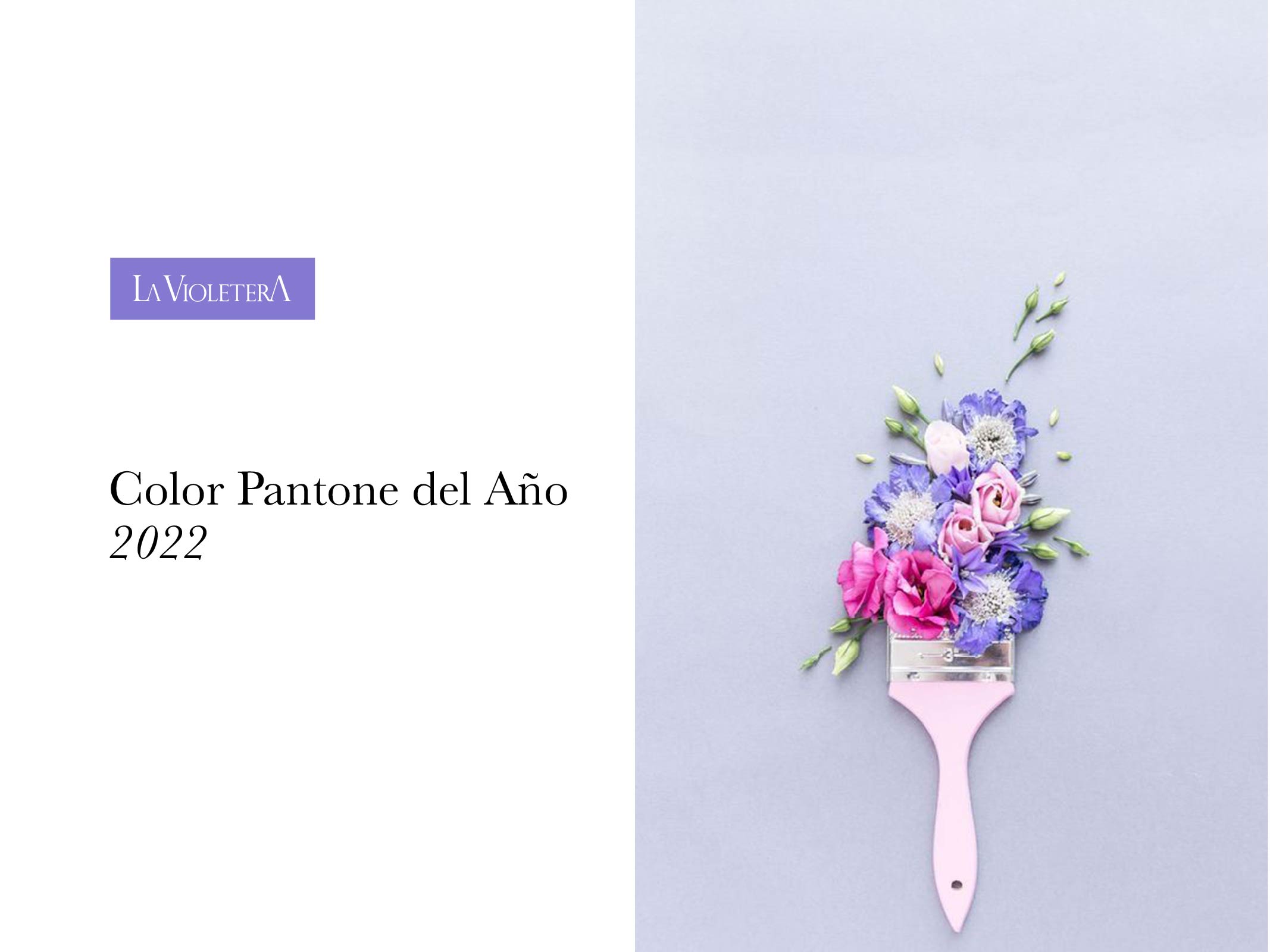 Color Pantone del Año 2022