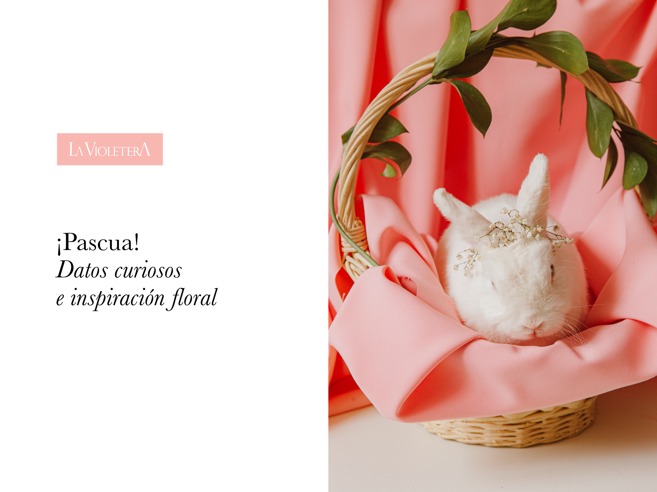 Pascua, datos curiosos e inspiración floral