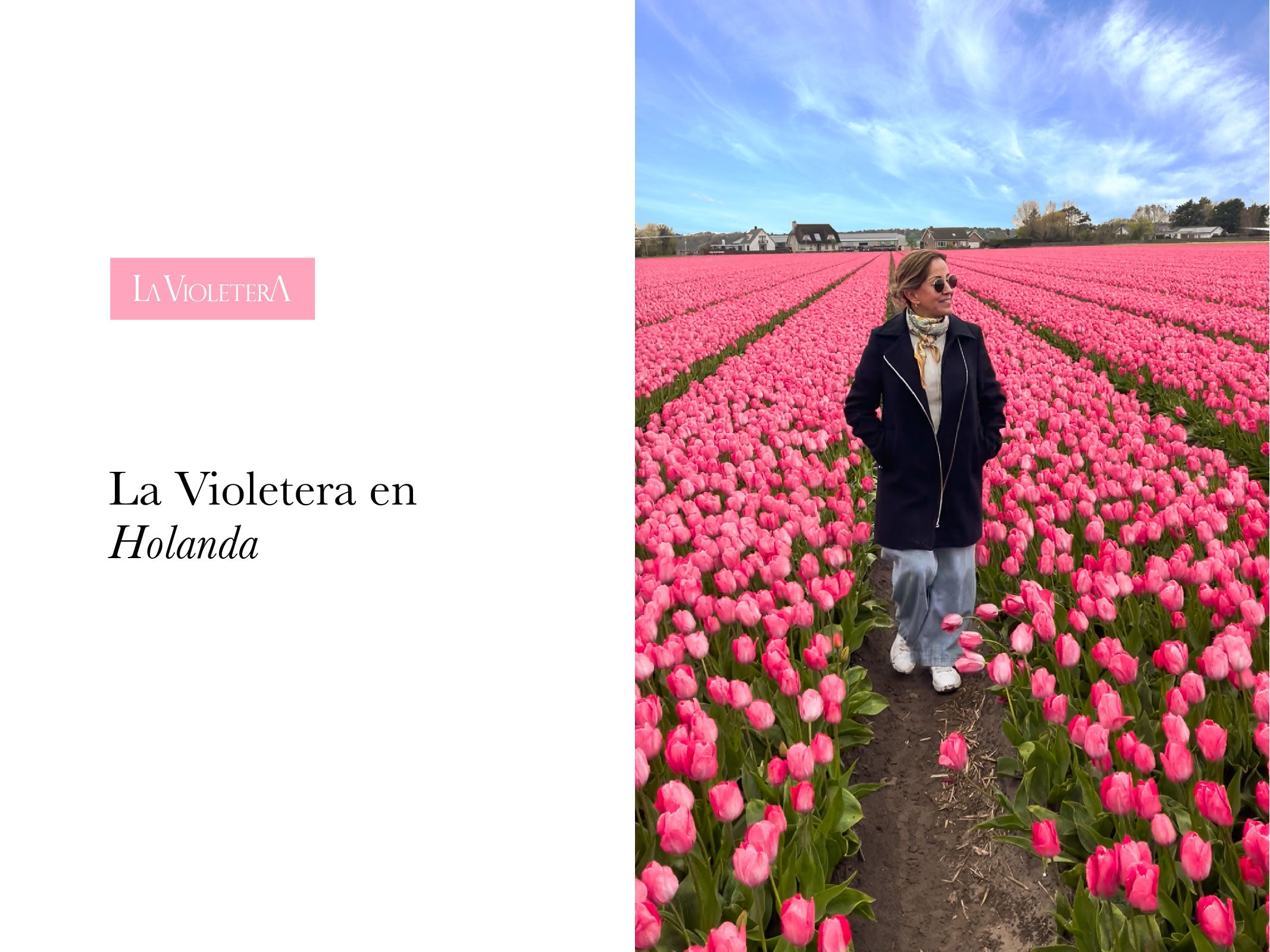 La Violetera en Holanda