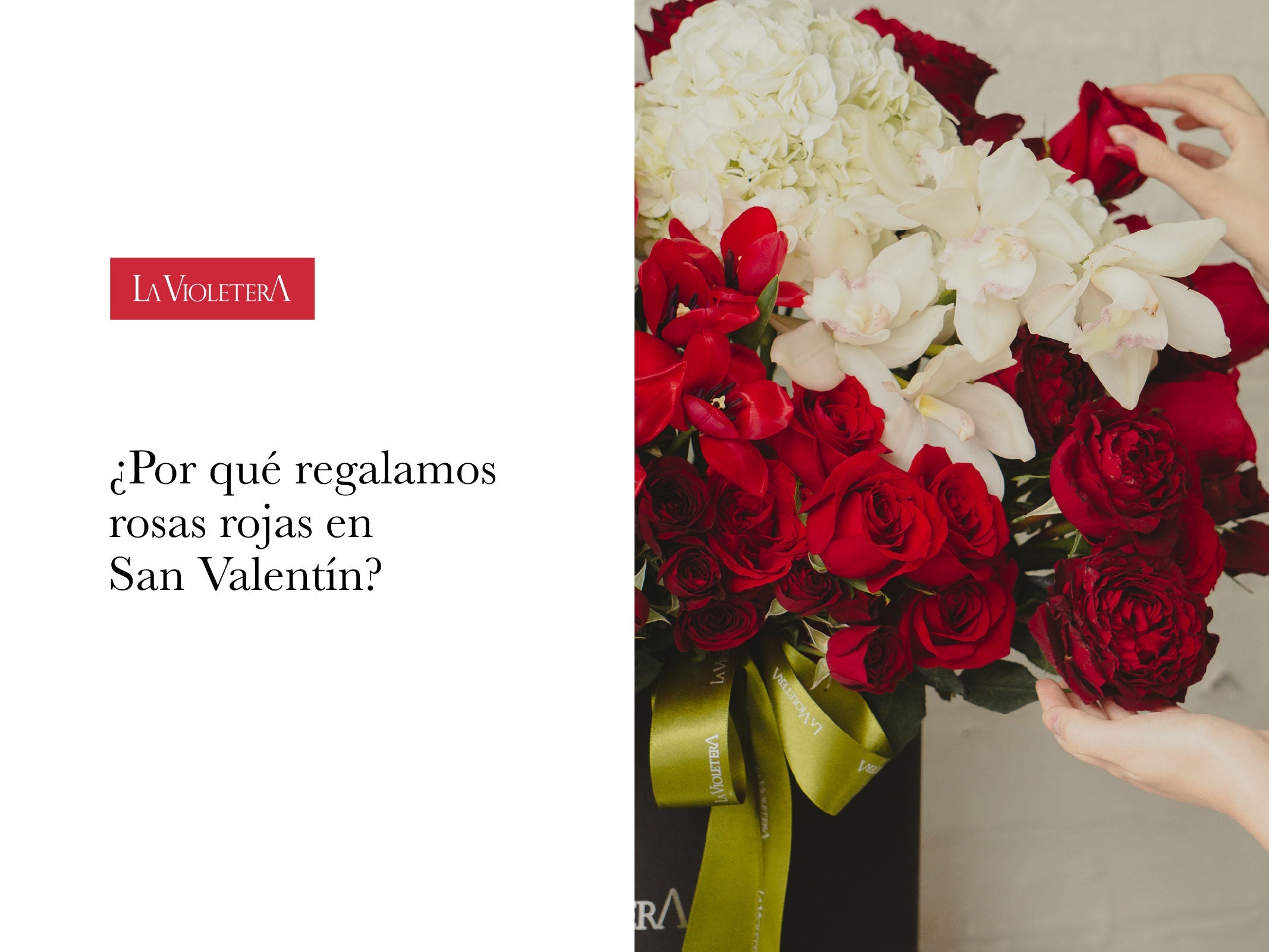 ¿Porque regalamos rosas rojas en San Valentin?