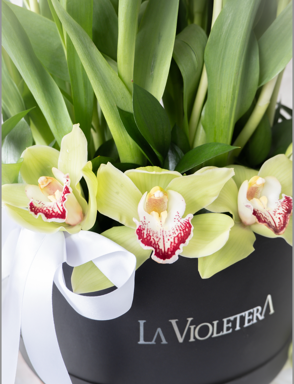 Cielo, tulipanes blancos con orquidea