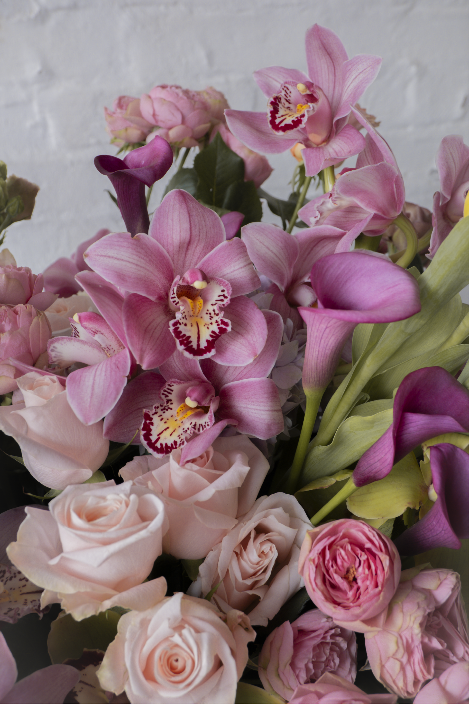 Paloma, Orquídeas, rosas, hortensias y calas en tonos suaves