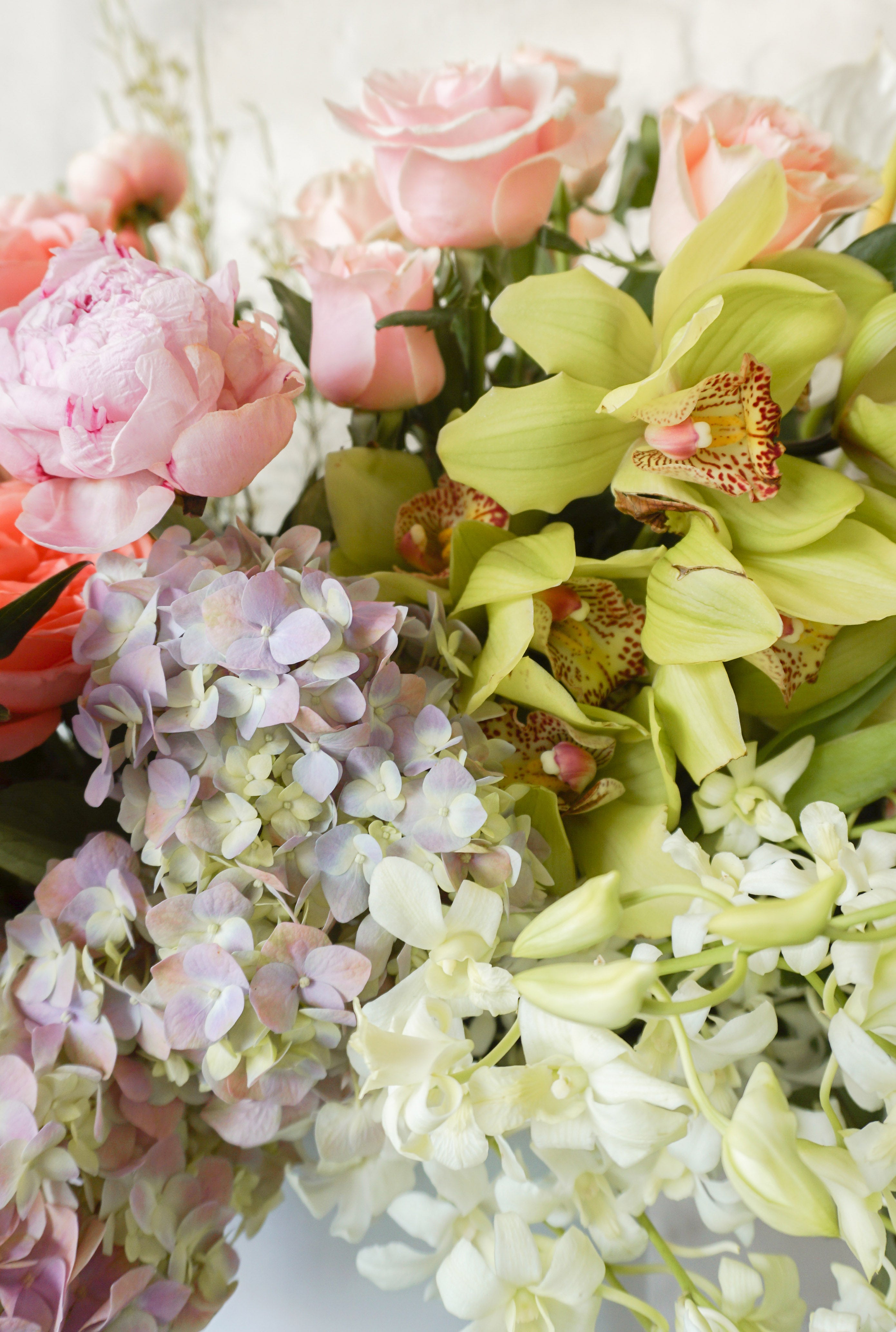 Greta, caja con peonías, anturios, rosa inglesa, orquídeas, tulipanes.