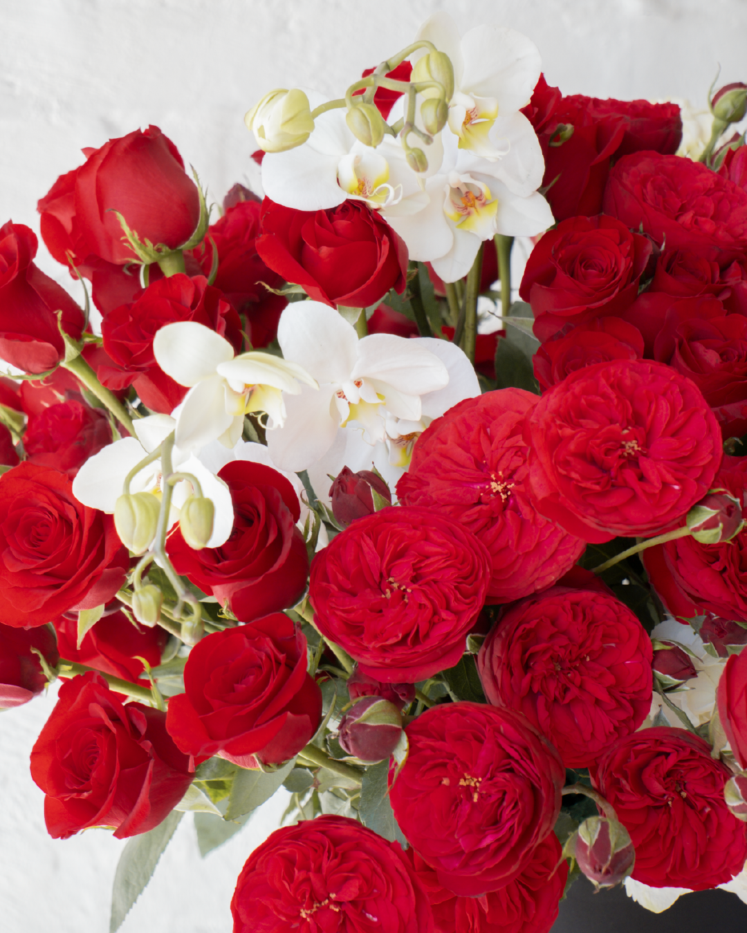 Valeria, arreglo con rosas inglesas, orquídeas y tulipanes .