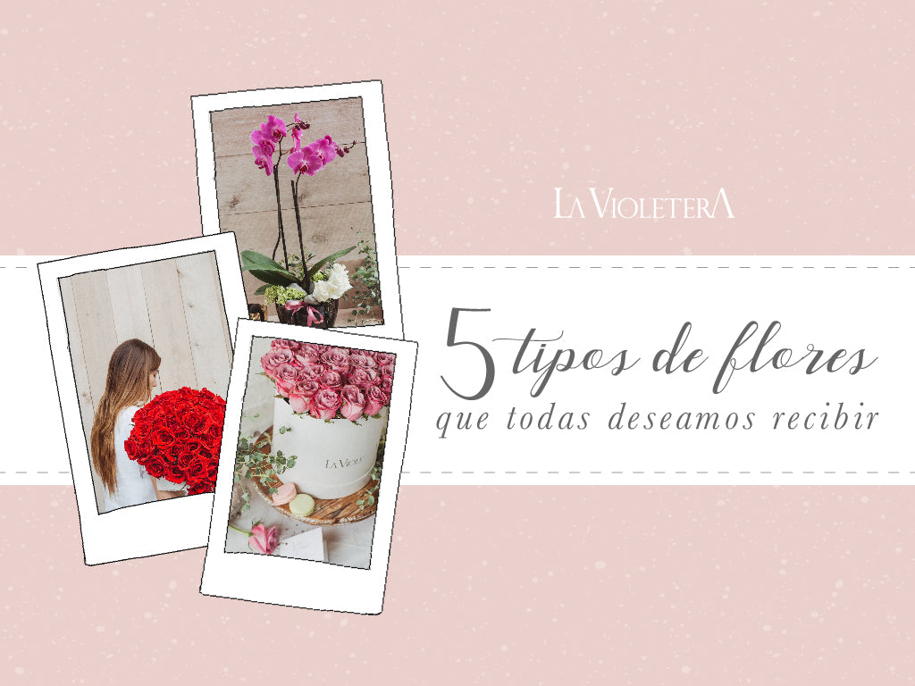5 tipos de flores que todas deseamos recibir