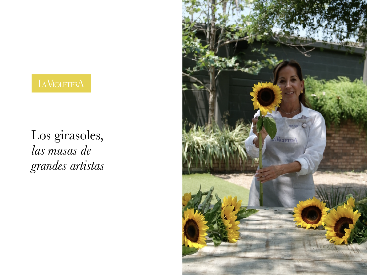 Los girasoles, las musas de grandes artistas