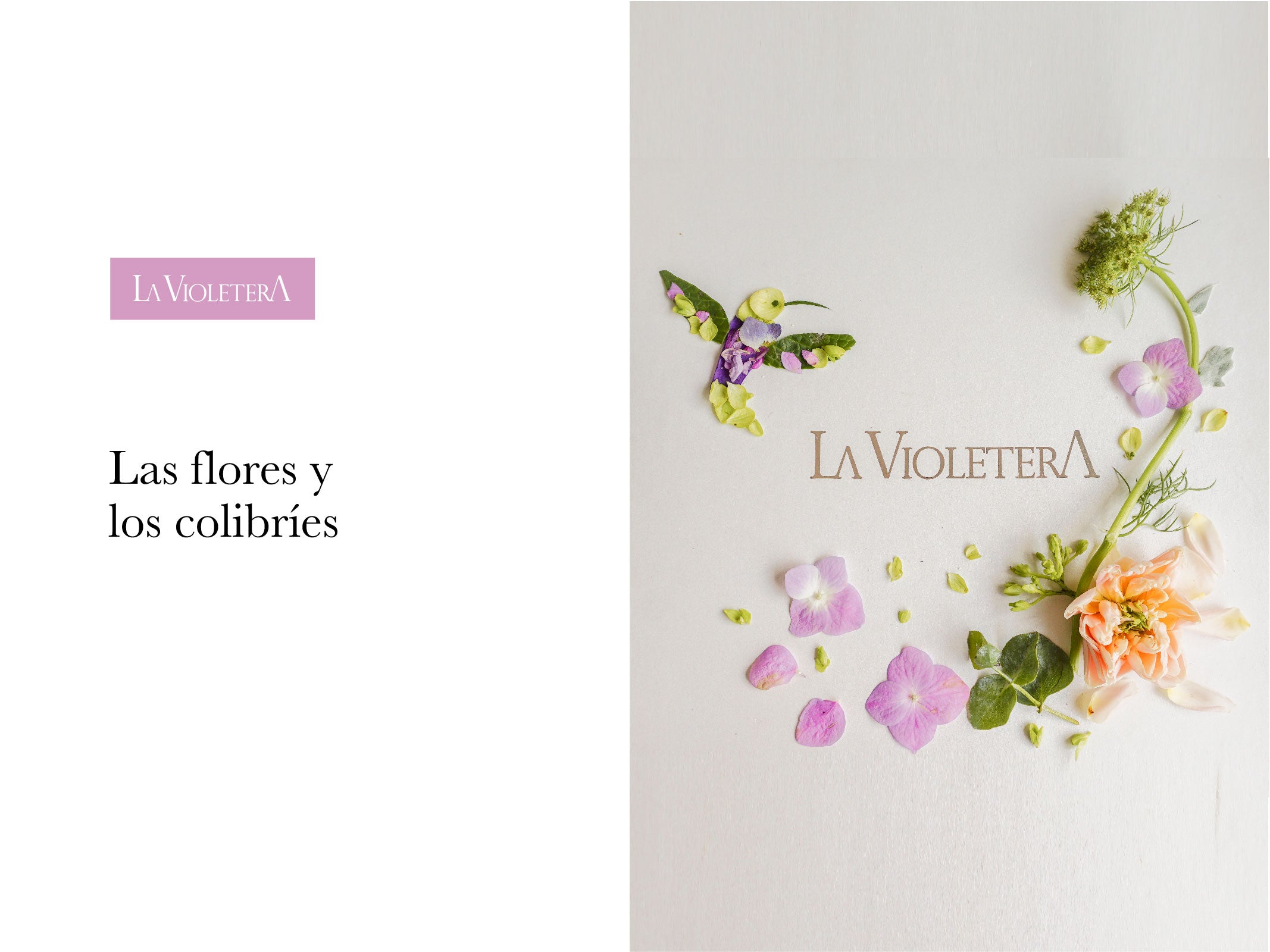 Las flores y los colibries