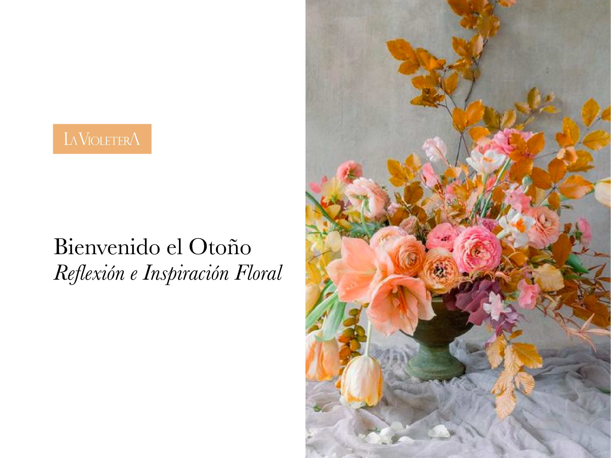 ¡Bienvenido el Otoño! Reflexión e Inspiración Floral