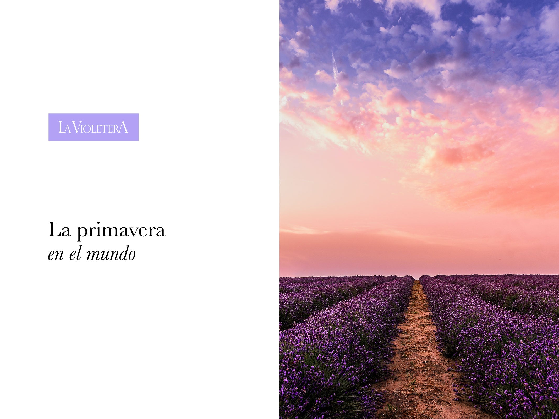 ¡La primavera en el mundo!