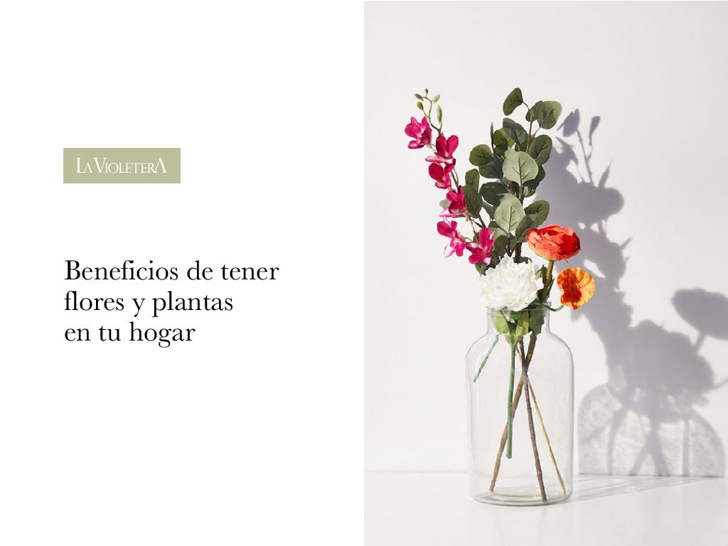 Beneficios de tener flores y plantas en tu hogar