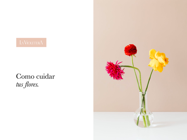 Cómo cuidar tus flores: Arreglos florales en florero o en espuma.