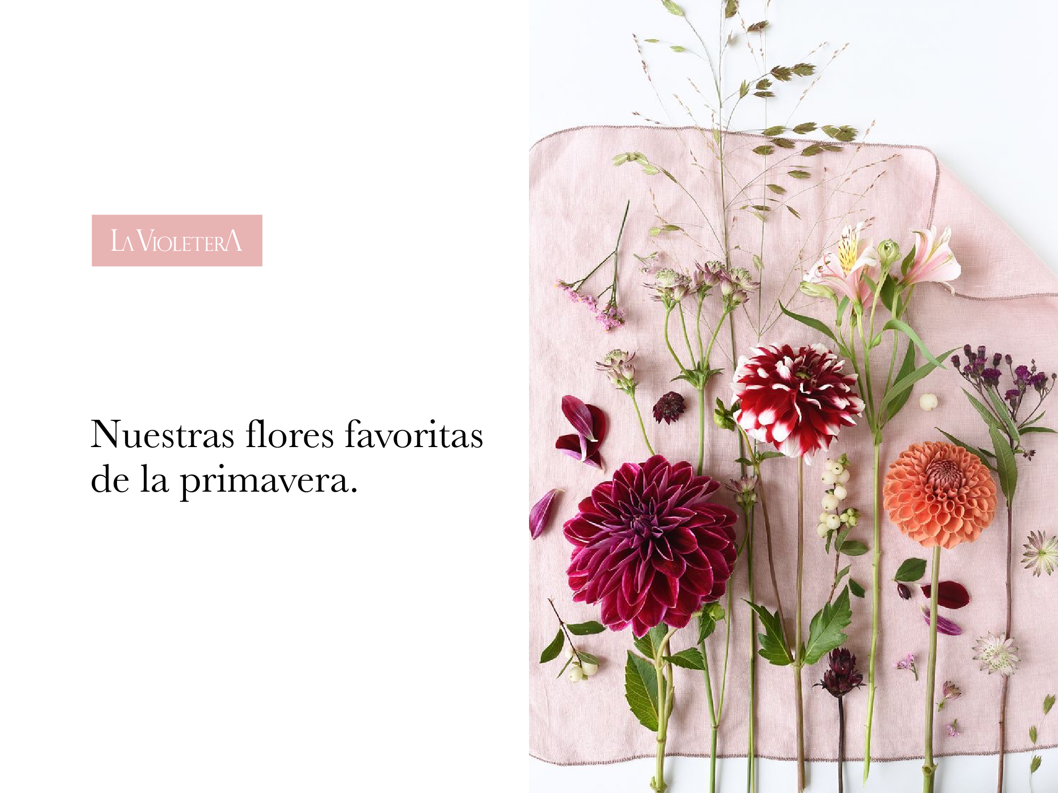 Nuestras flores favoritas de la temporada