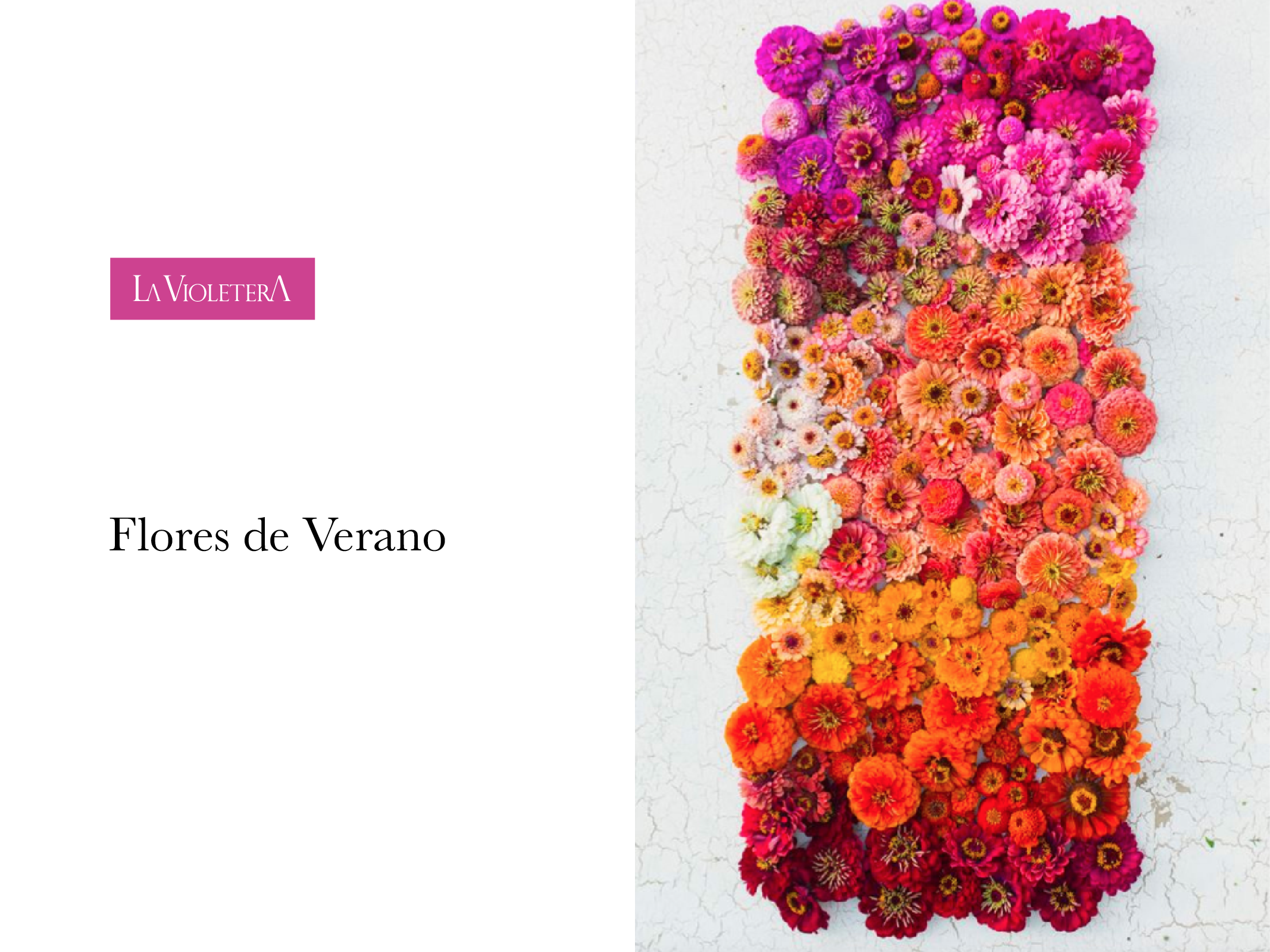 Flores de Verano