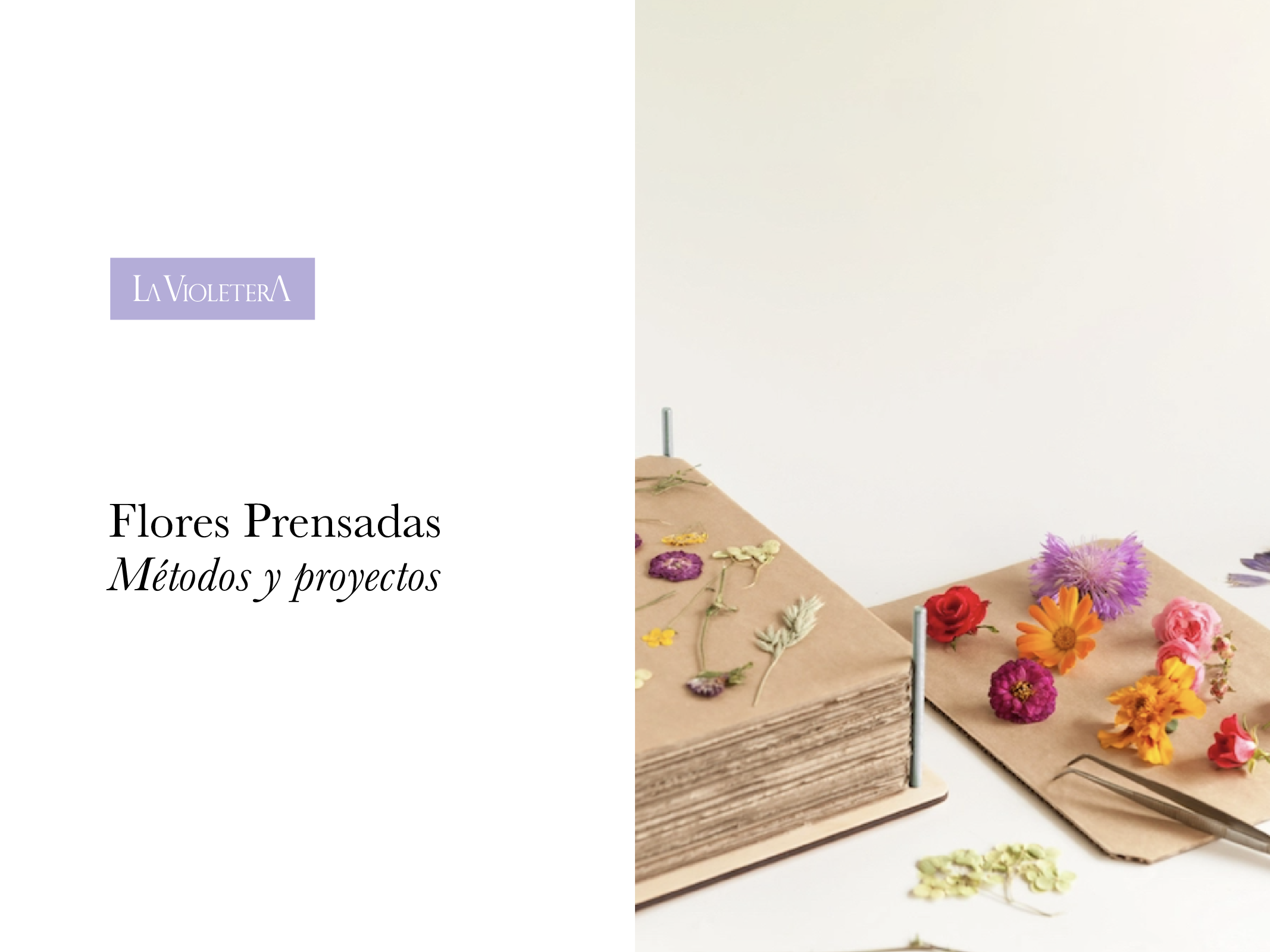 Flores Prensadas: 2 métodos e ideas de proyectos