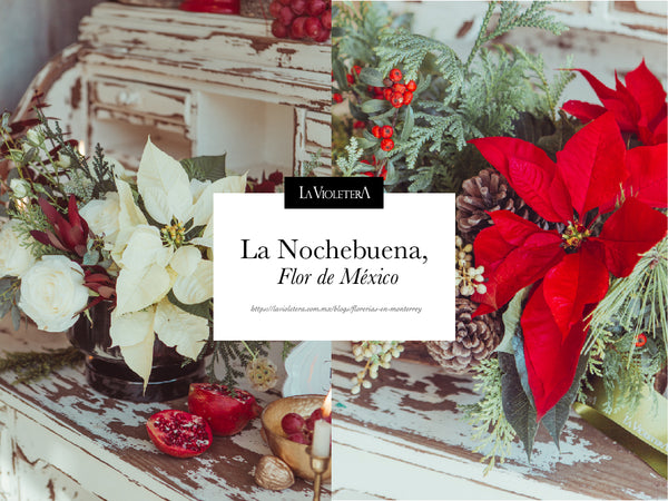 ¡La Nochebuena, Flores de México para el mundo!