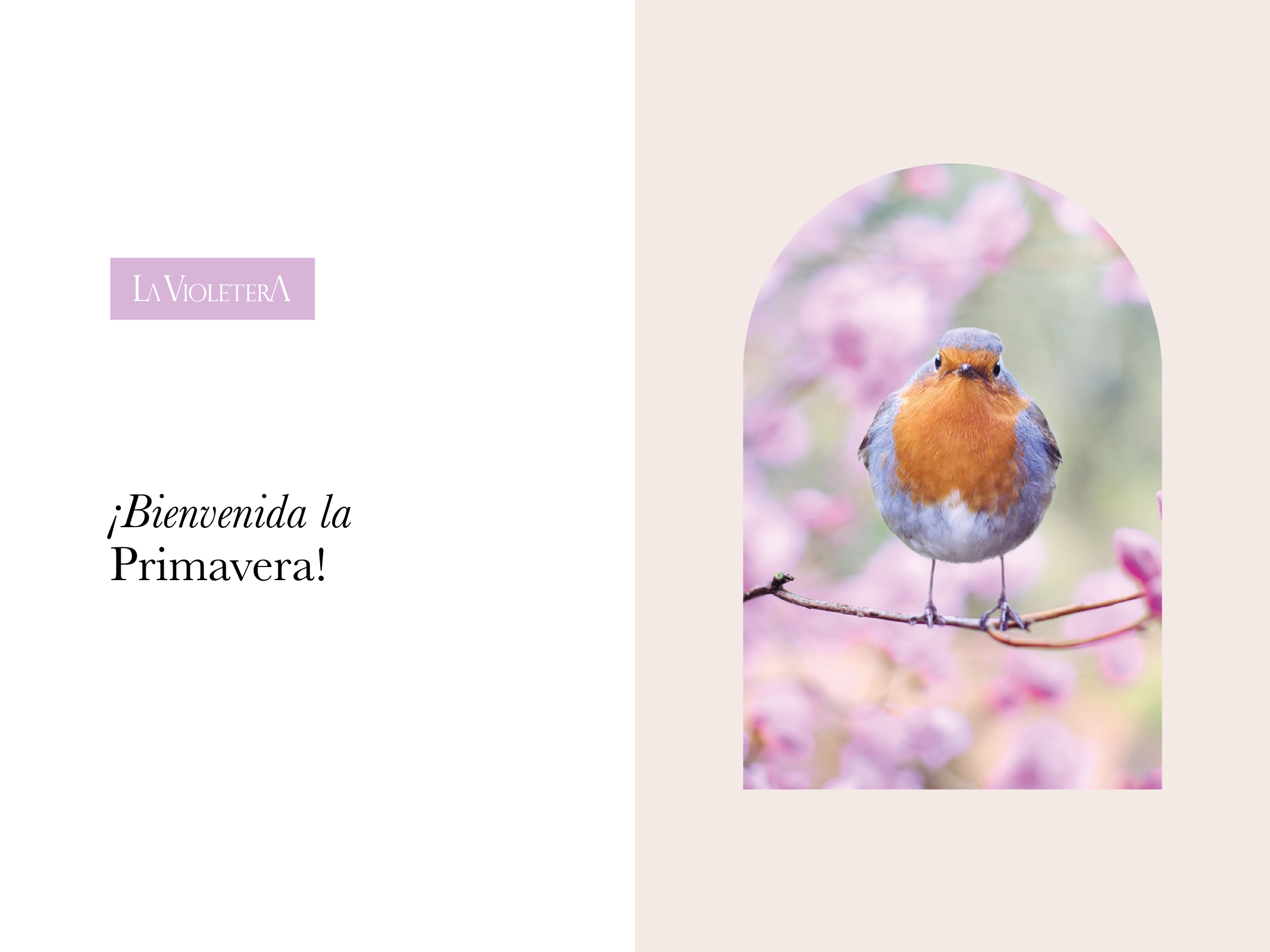 Bienvenida la Primavera