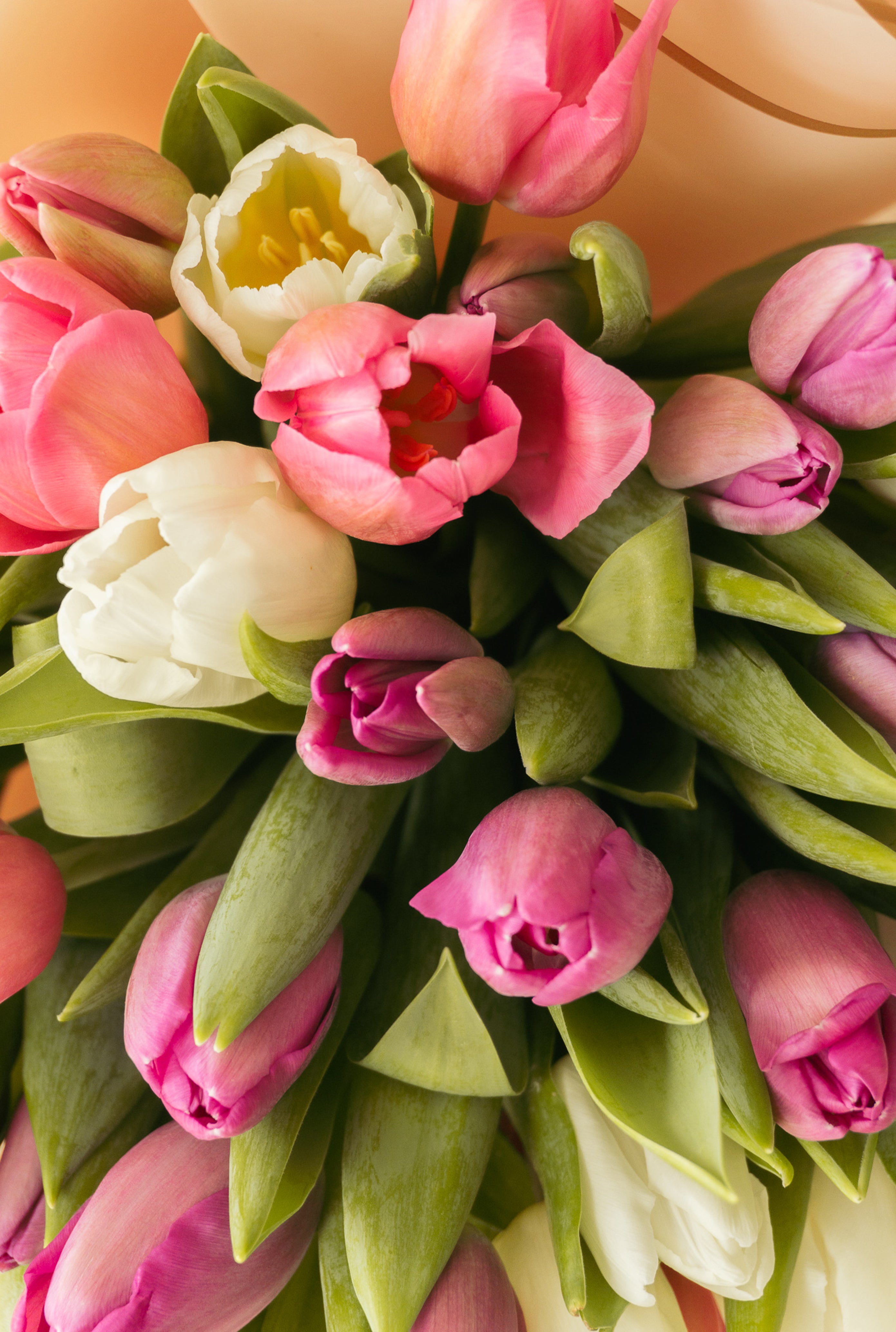 Tulipanes para San Valentín