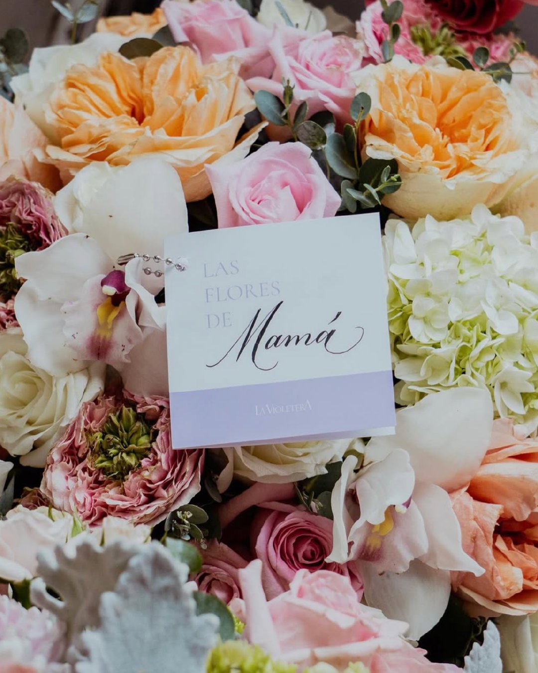 Un Jardín Eterno para Mamá