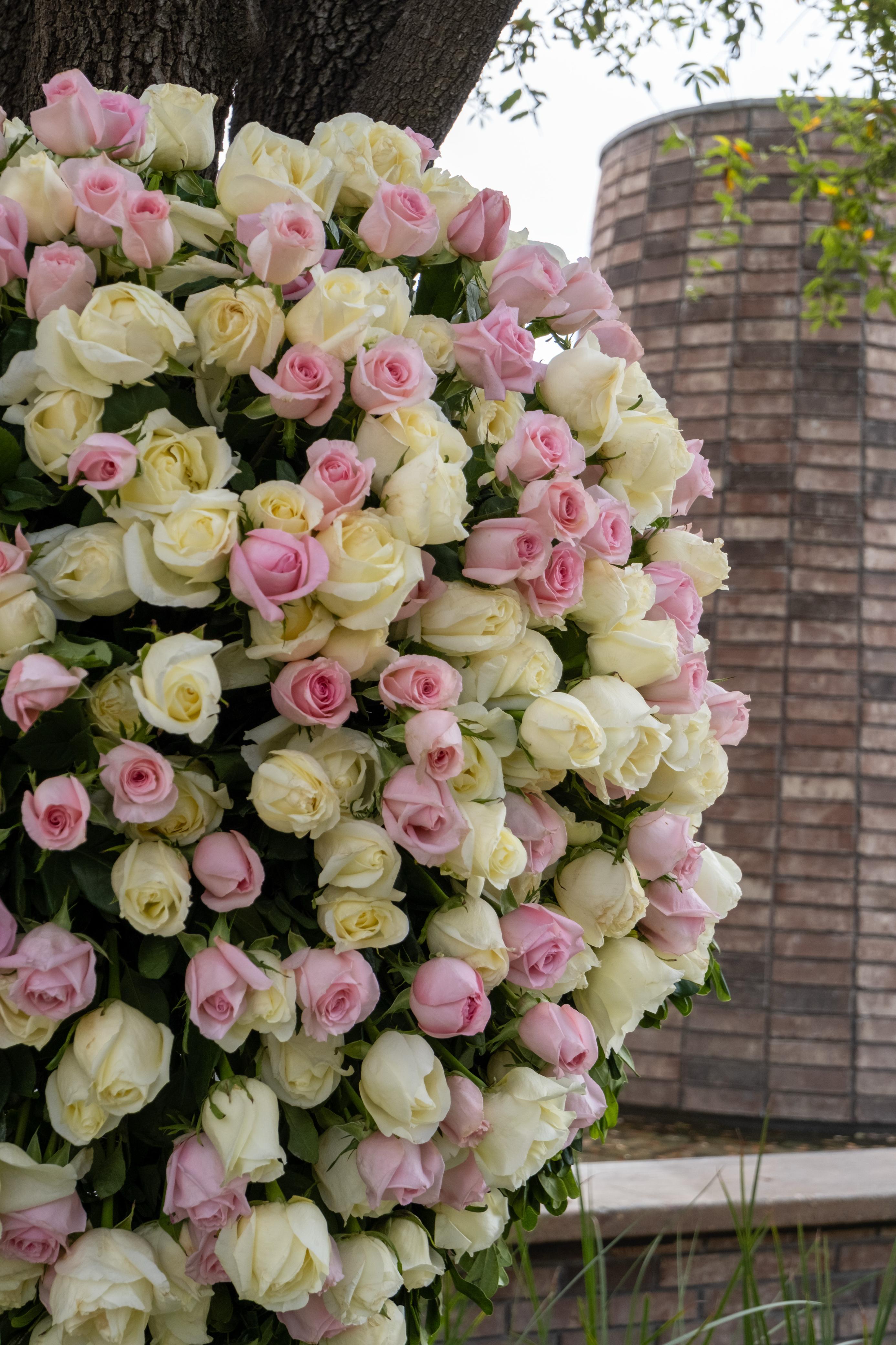 Suspiro, corona funebre en de rosas