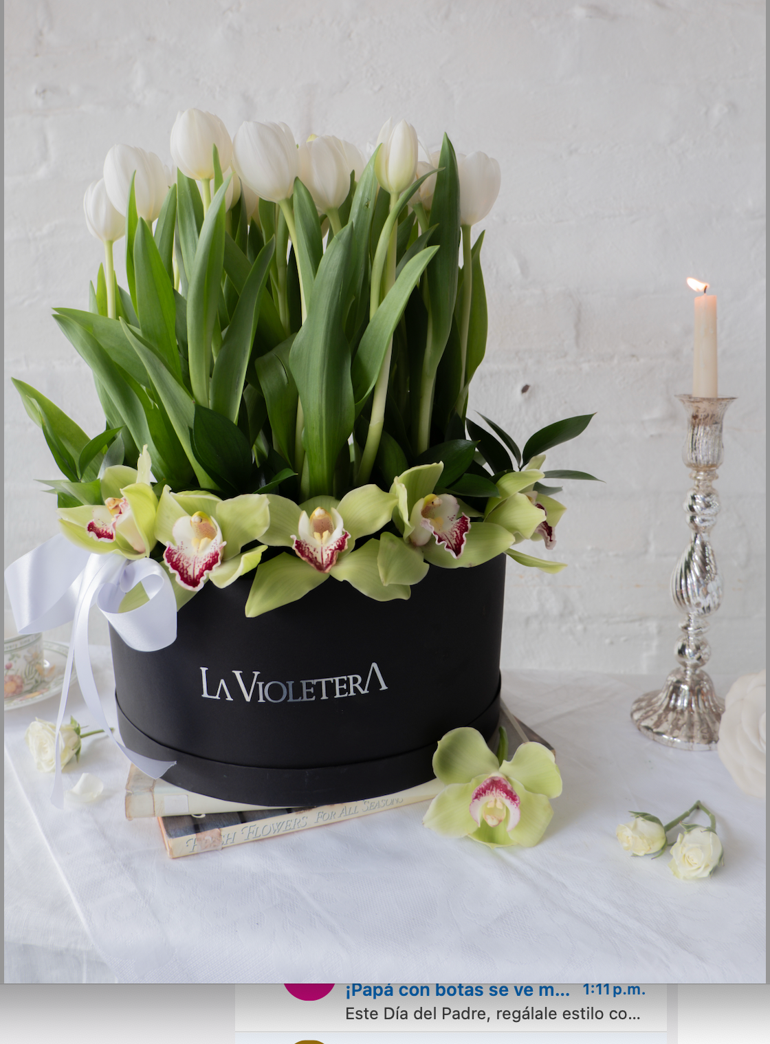 Cielo, tulipanes blancos con orquidea