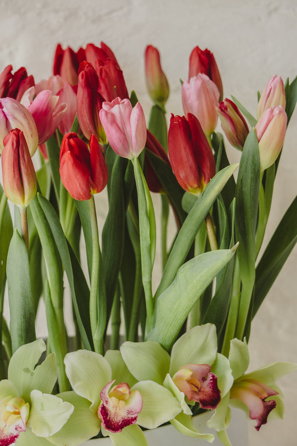 Amsterdam, caja con tulipanes rojos y rosas