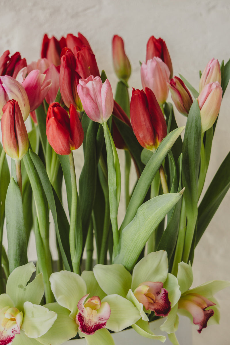 Amsterdam, caja con tulipanes de colores