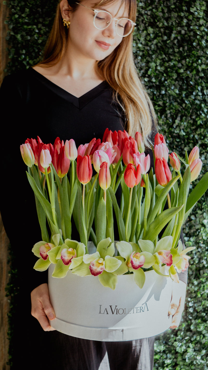 Amsterdam, caja con tulipanes de colores