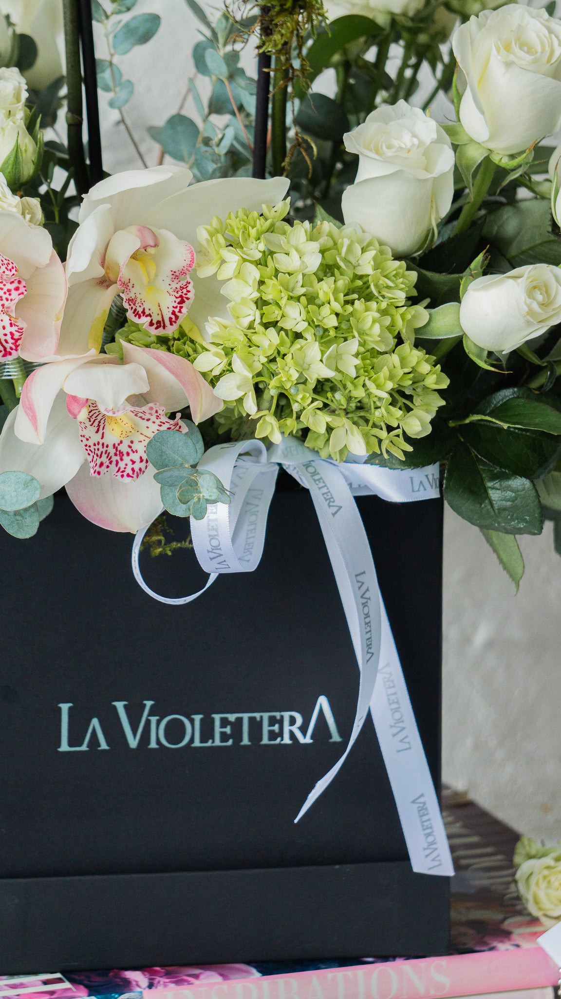 Luz, condolencia en orquídeas