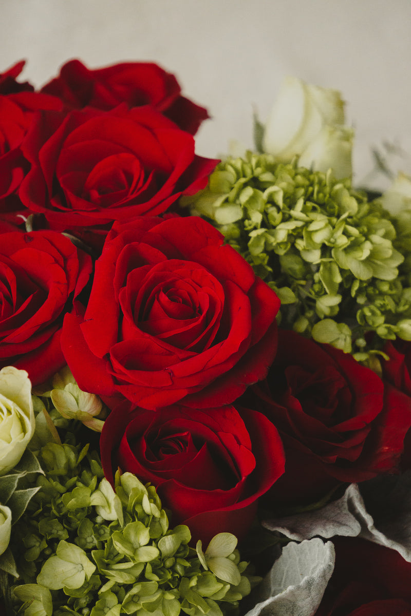 Romina, rosas rojas y mini rosas blancas