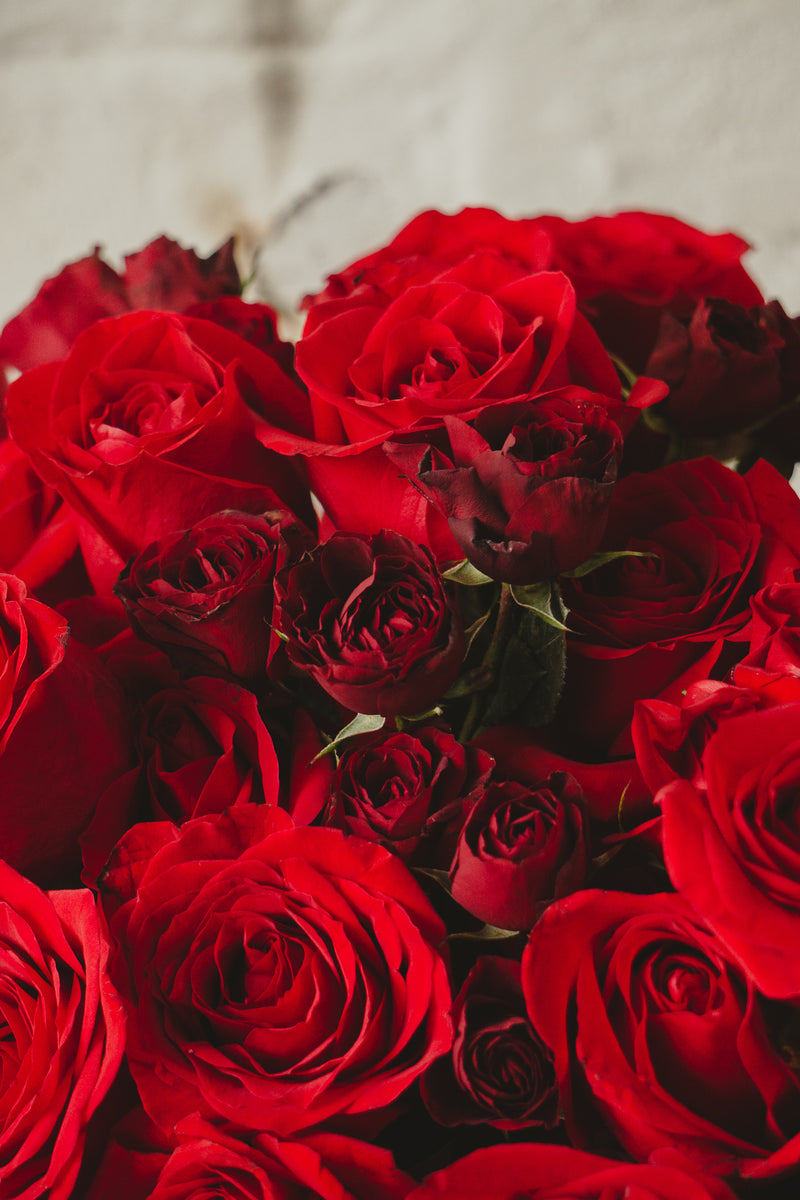 Londres, caja negra con rosas rojas y follaje