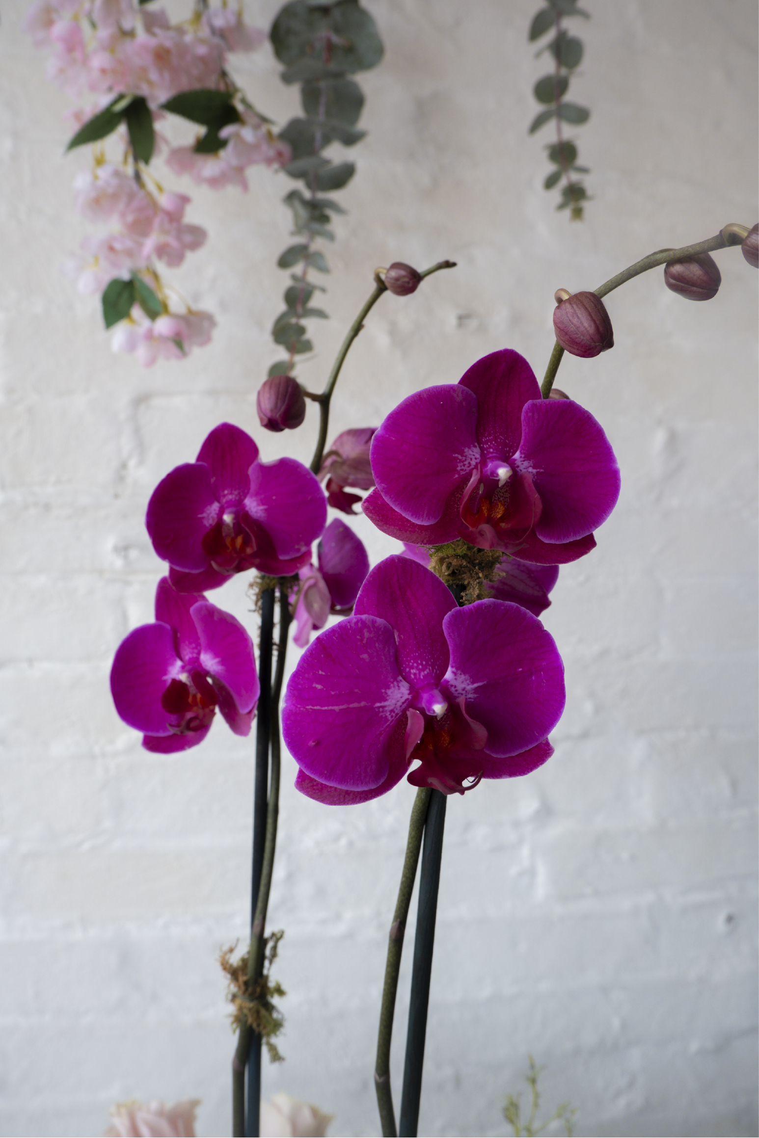 Fernanda, Orquídea con combinación de rosas y mini rosas