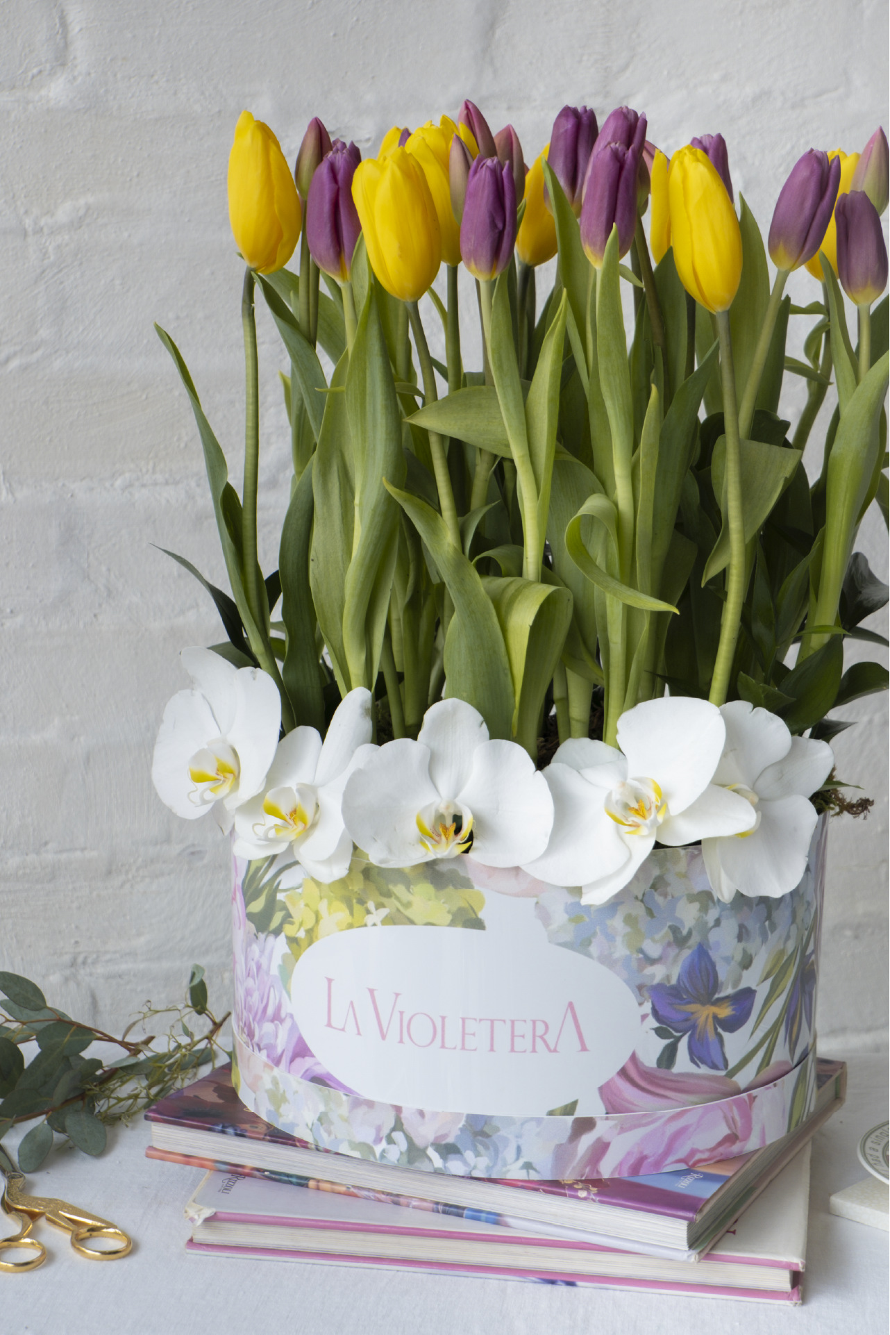 Amsterdam, Caja 30 tulipanes de colores y orquídeas
