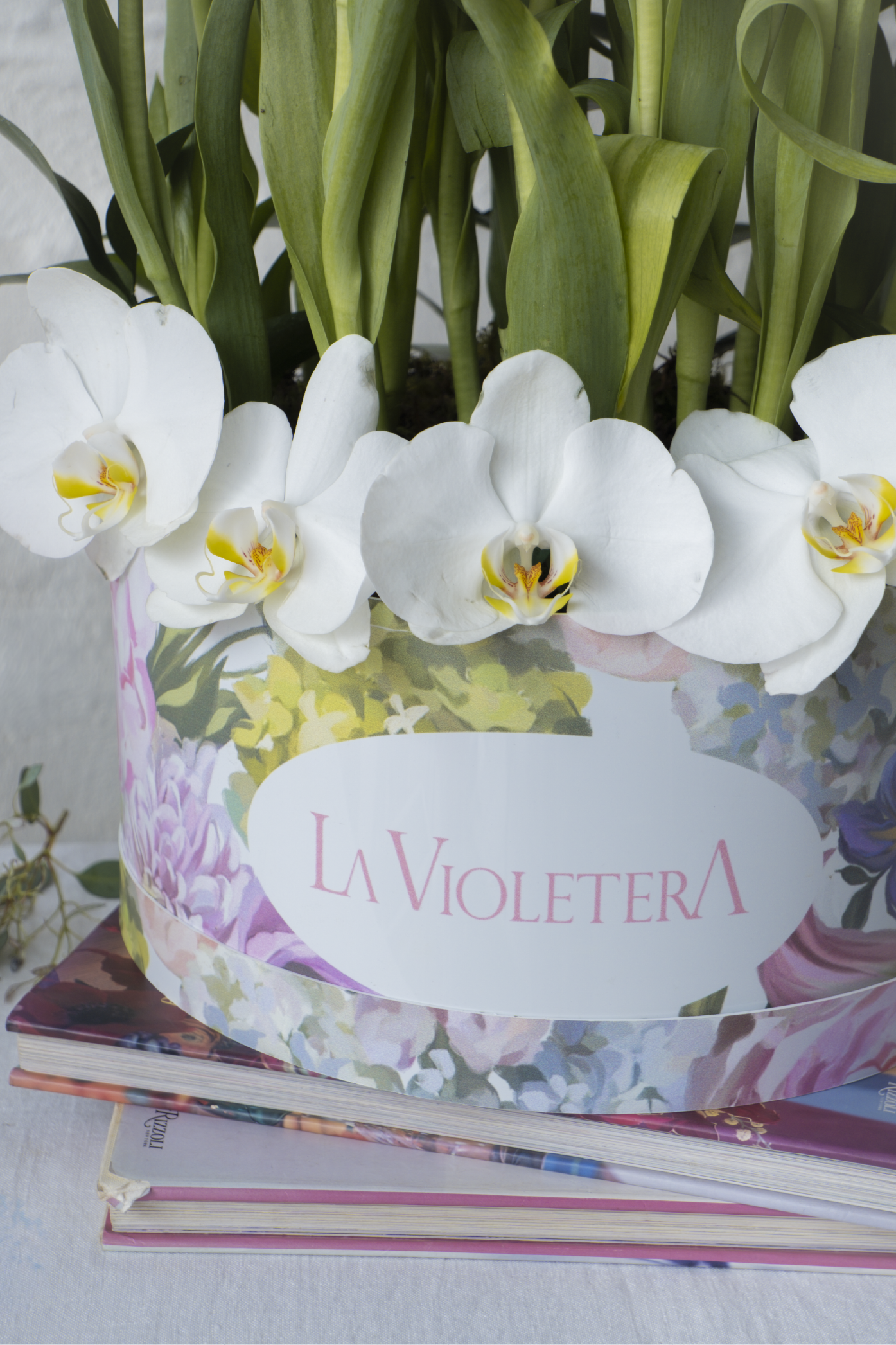 Amsterdam, Caja 30 tulipanes de colores y orquídeas