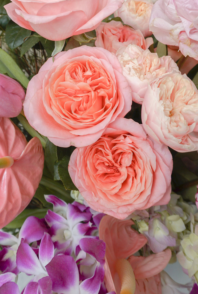 Greta, caja con peonías, anturios, rosa inglesa, orquídeas, tulipanes y hortensias