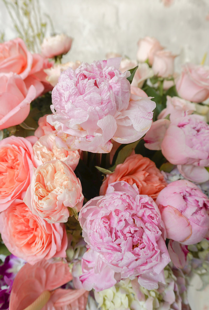 Greta, caja con peonías, anturios, rosa inglesa, orquídeas, tulipanes y hortensias