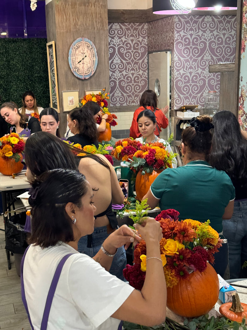 Workshop Otoño , ven a decorar tu calabaza !