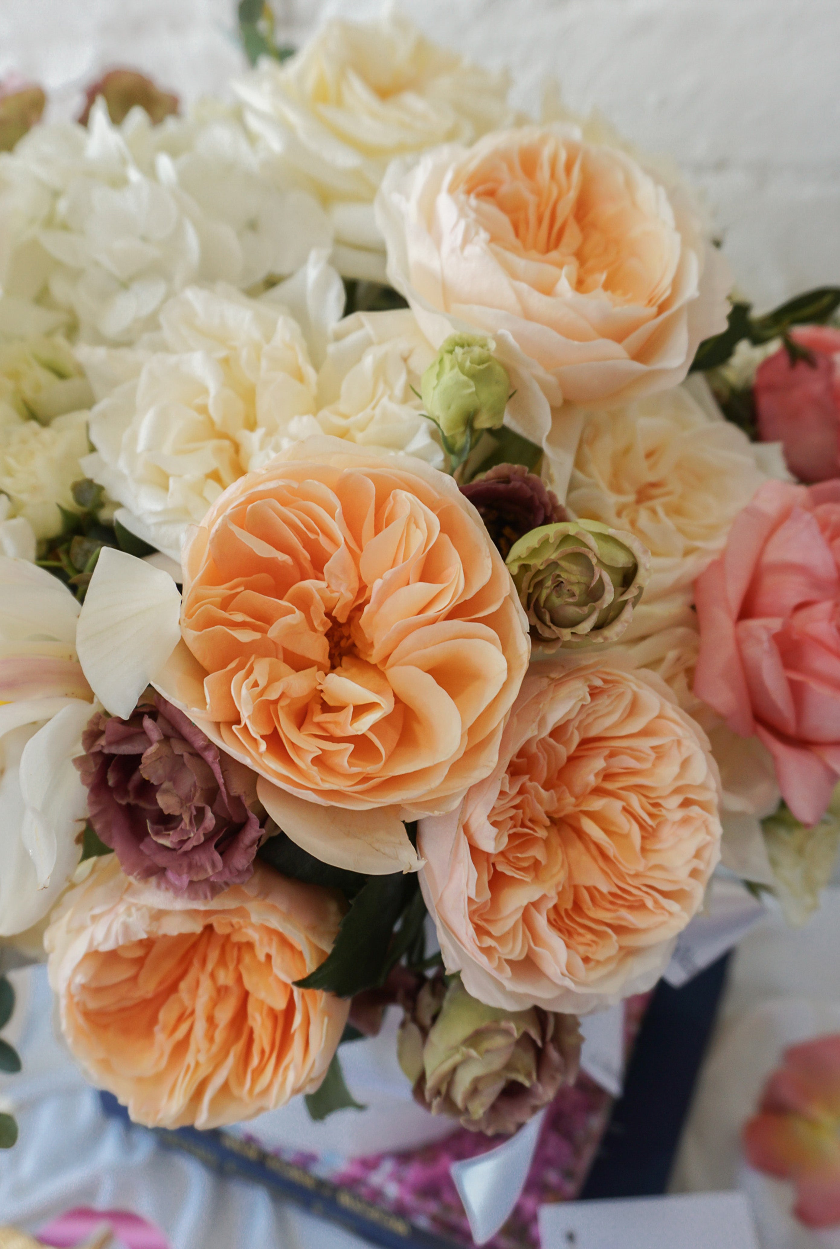 Mimí,  arreglo con rosas inglesas y orquídeas .