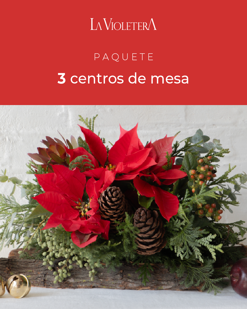3 centros de mesa de navidad, con nochebuenas montadas en tronco