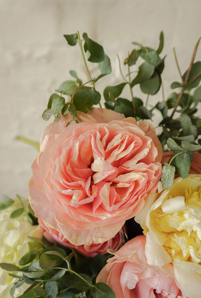 Roberta,  ramo de peonías y rosa inglesa