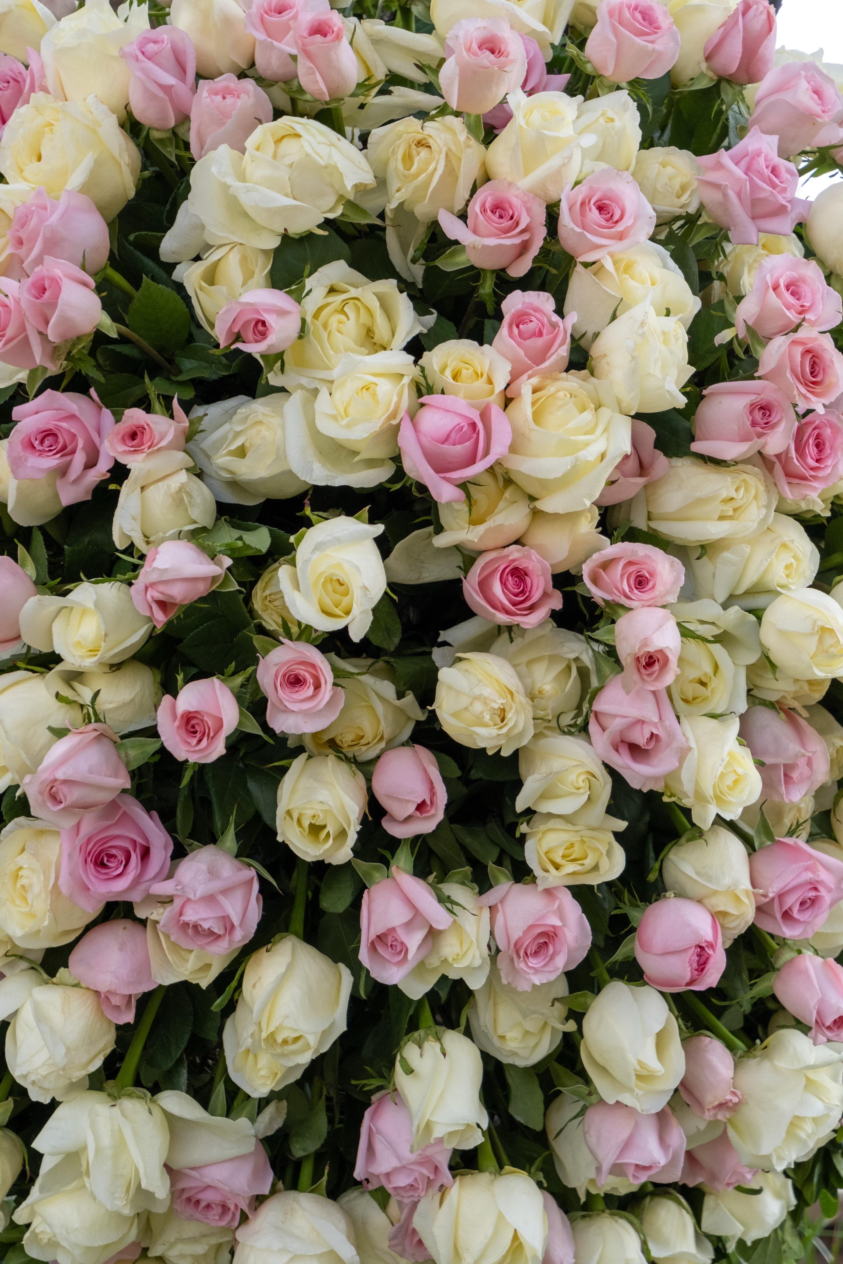 Suspiro, corona funebre en de rosas