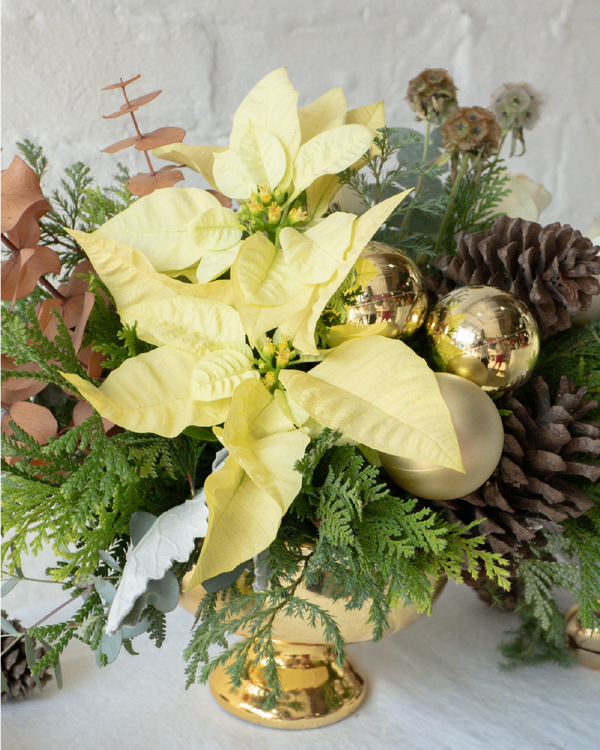 Estrella, centro de mesa Navideño