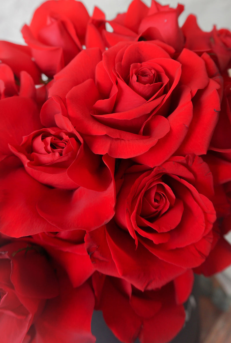 Julieta, caja con rosas rojas