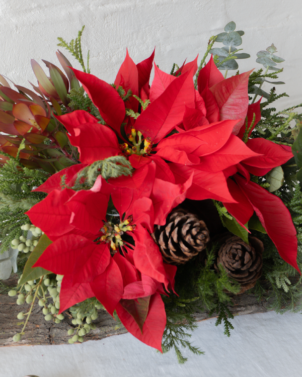 María, centro de mesa navideño montado en tronco