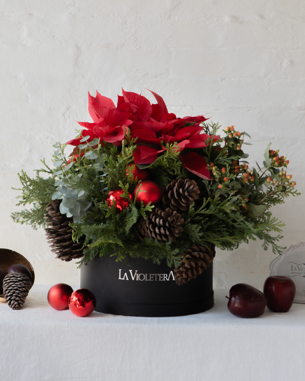 Natalia, nochebuenas festivas en caja