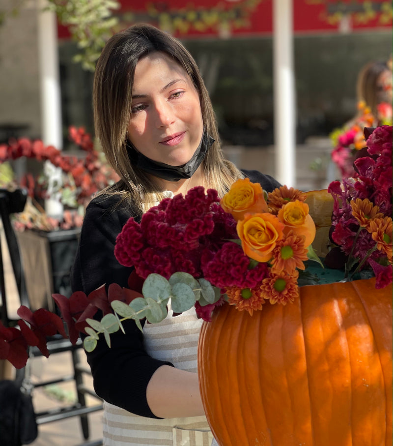 Workshop Otoño , ven a decorar tu calabaza !