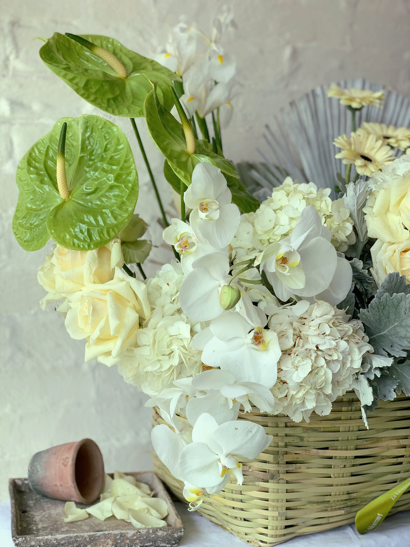 Mara, arreglo floral en canasta en tonos blancos.