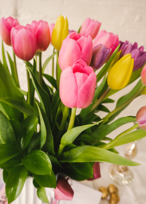 Violeta, alegre arreglo floral  con 30 tulipanes